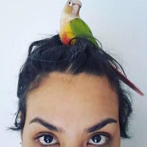 Meet your Posher, Brie